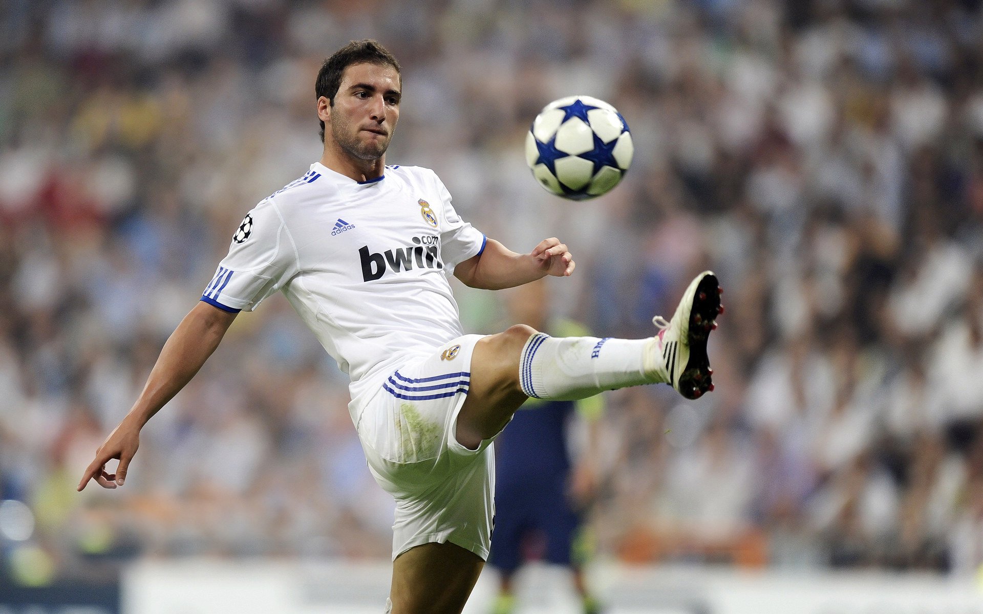 哈兰德体能管理获教练组高度评价，哈兰德履历